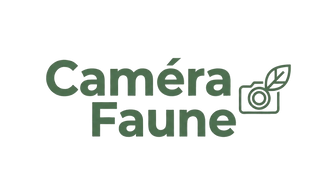 Caméra Faune