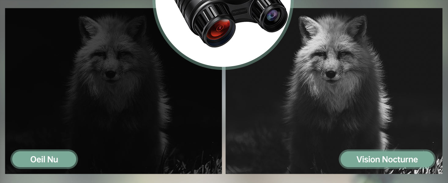 Jumelles vision nocturne IR 300 m – Camera Faune - Caméra Faune