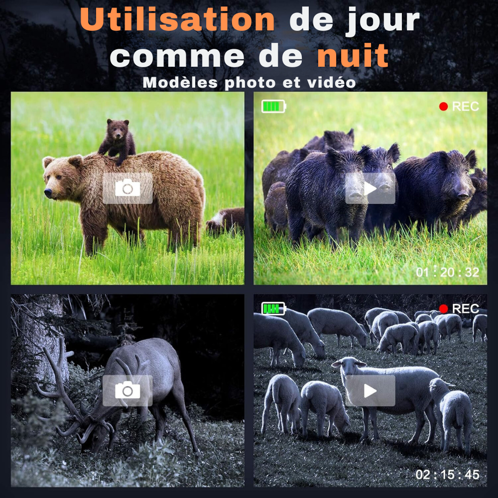 Jumelles vision nocturne infrarouge – Camera Faune - Caméra Faune