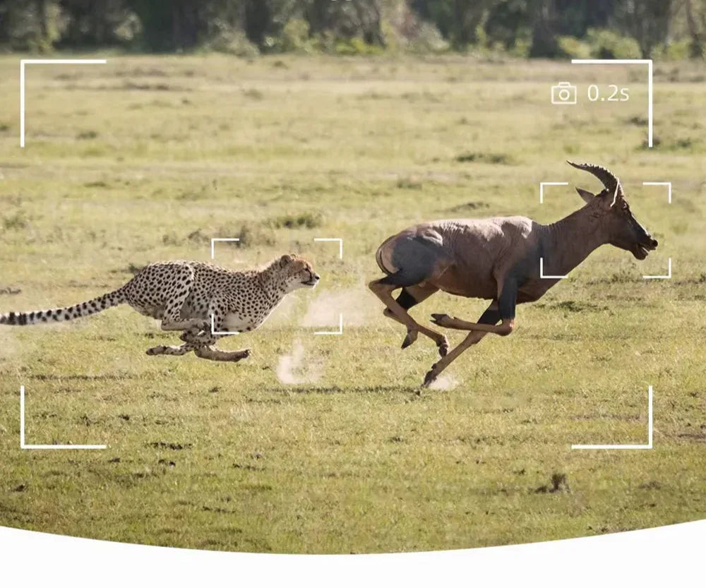 Caméra de chasse 20 MP IP66 extérieure – Camera Faune - Caméra Faune