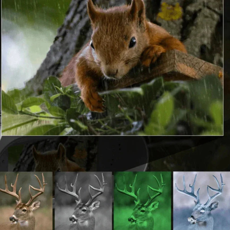 Jumelles vision nocturne IR 300 m – Camera Faune - Caméra Faune