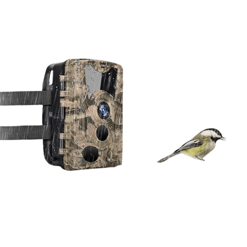 Caméra de chasse 20 MP IP66 – Caméra Faune Scout 20 - Caméra Faune