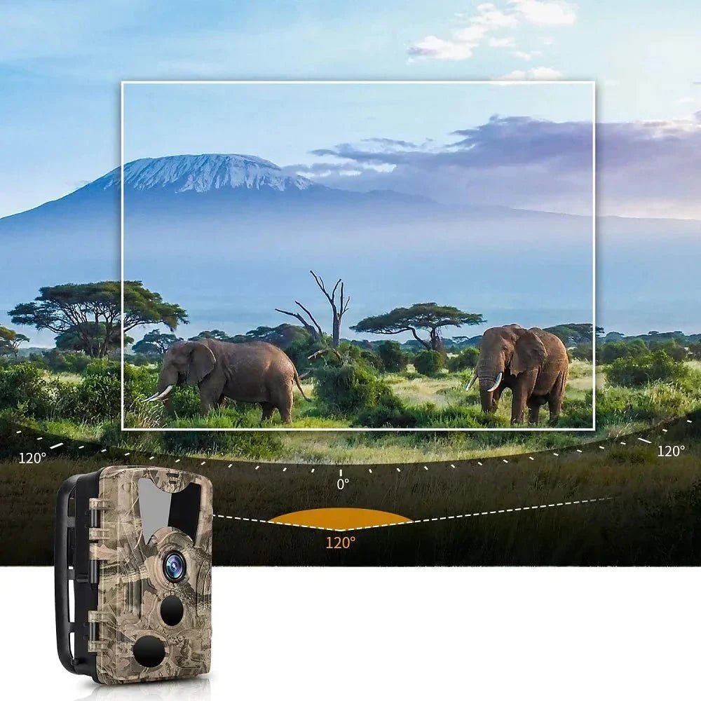 Caméra de chasse 20 MP IP66 – Caméra Faune Scout 20 - Caméra Faune