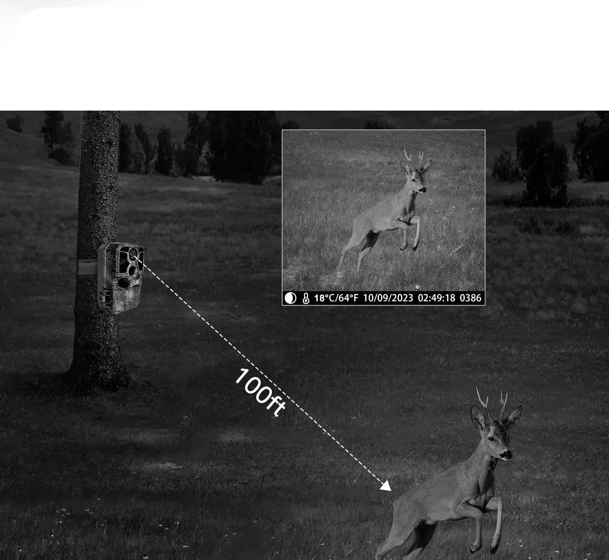 Caméra de chasse 4K Wi - Fi IP67 – Caméra Faune Apex - Caméra Faune