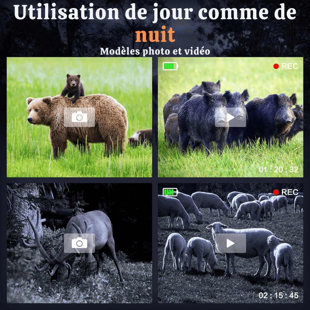 Jumelles de vision nocturne 1080p 5x – Caméra Faune NightBin NVB790 - Caméra Faune