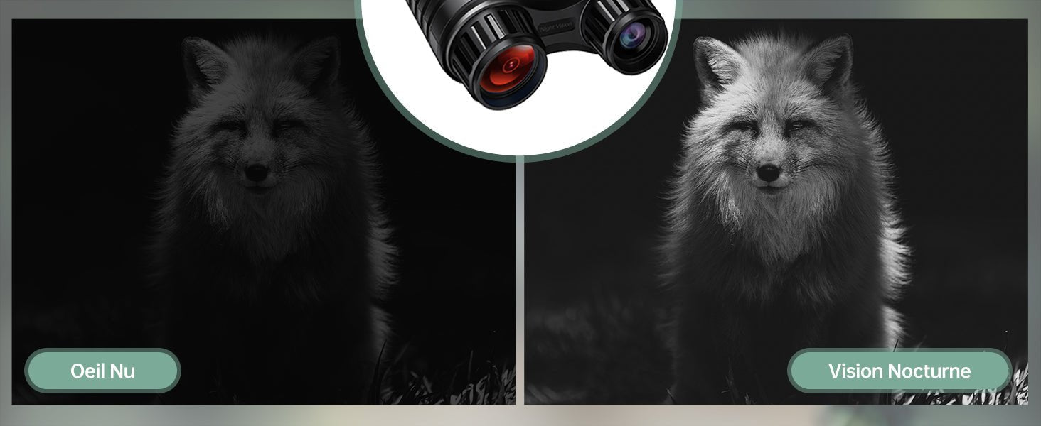 Jumelles de vision nocturne infrarouge 300 m – Caméra Faune NightBin NV2180 - Caméra Faune