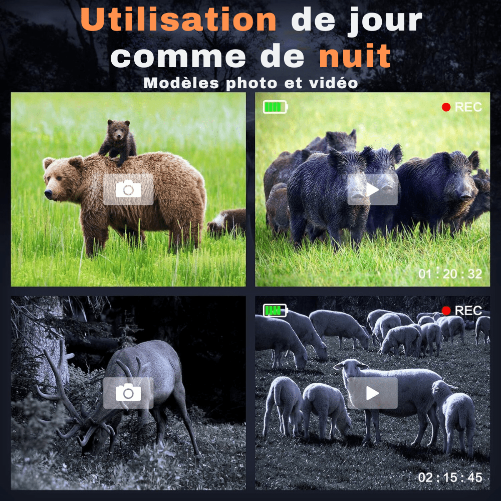 Jumelles de vision nocturne infrarouge – Caméra Faune NightBin NV3180 - Caméra Faune
