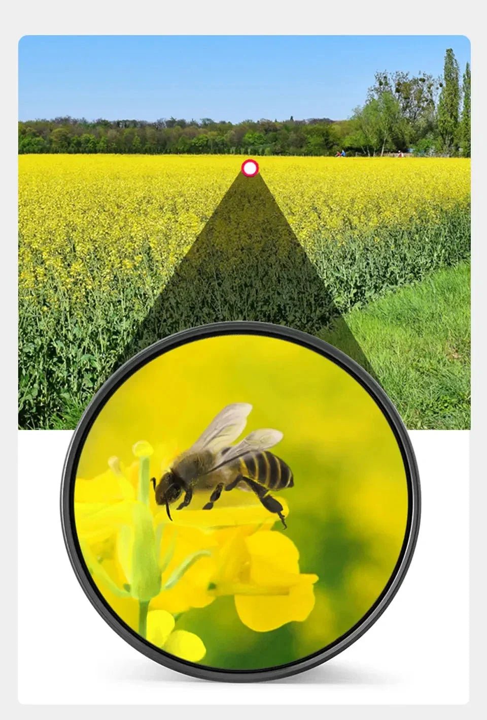 Jumelles d’observation longue portée 90x90 – TerraCam Explore - Caméra Faune