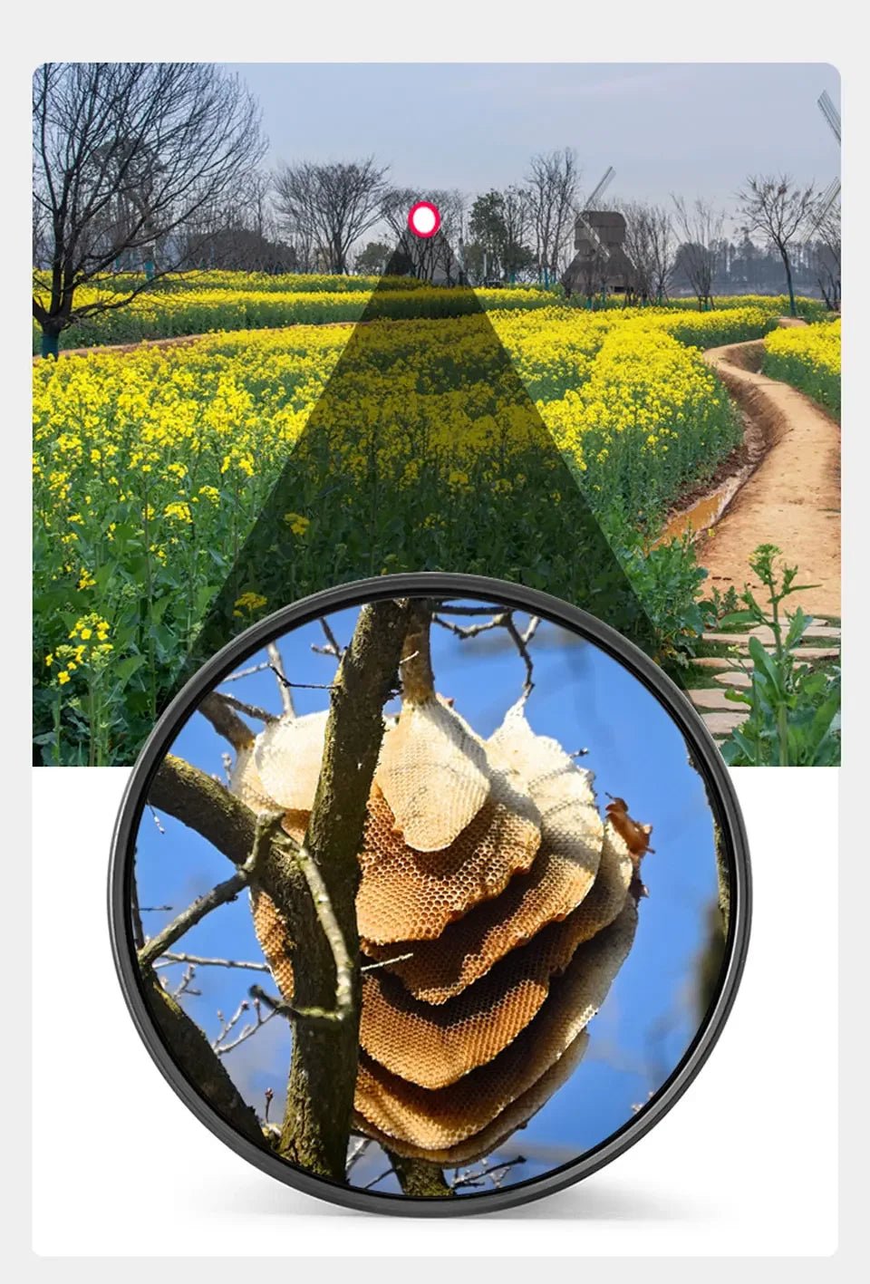 Jumelles d’observation longue portée 90x90 – TerraCam Explore - Caméra Faune