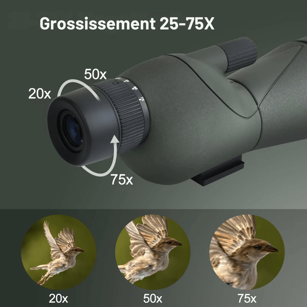 Longue - vue d’observation 25–75x60 HD – TerraCam Scope - Caméra Faune