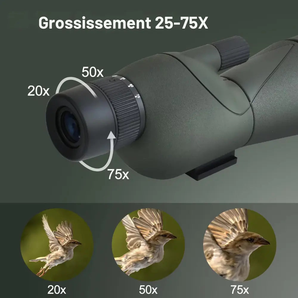 Longue-vue observation 25–75x60 HD – Camera Faune longue vue Camera Faune 