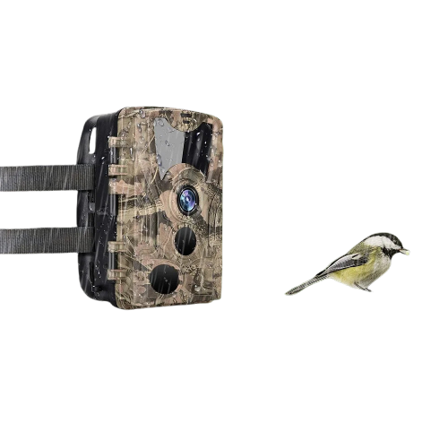 Caméra de chasse 20 MP IP66 extérieure – Camera Faune - Caméra Faune